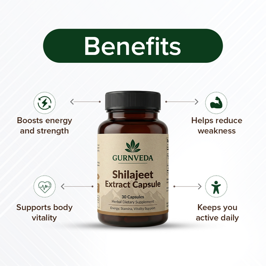Shilajeet Extract Capsule