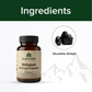 Shilajeet Extract Capsule